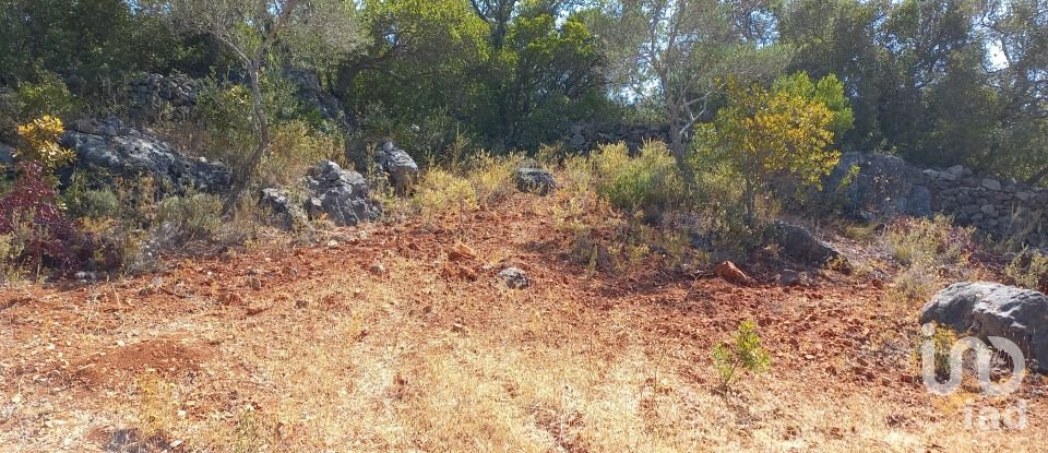 Land in Querença, Tôr e Benafim of 5,560 m²