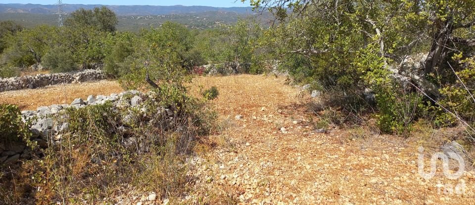 Land in Querença, Tôr e Benafim of 5,560 m²