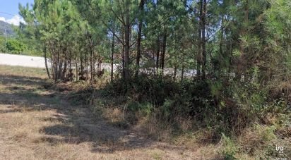 Terrain à Gandra e Taião de 10 400 m²