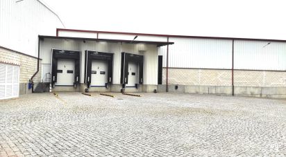 Murs commerciaux à Campos e Vila Meã de 4 050 m²