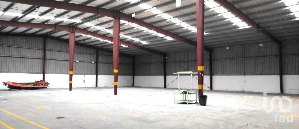 Commercial walls in Campos e Vila Meã of 4,050 m²