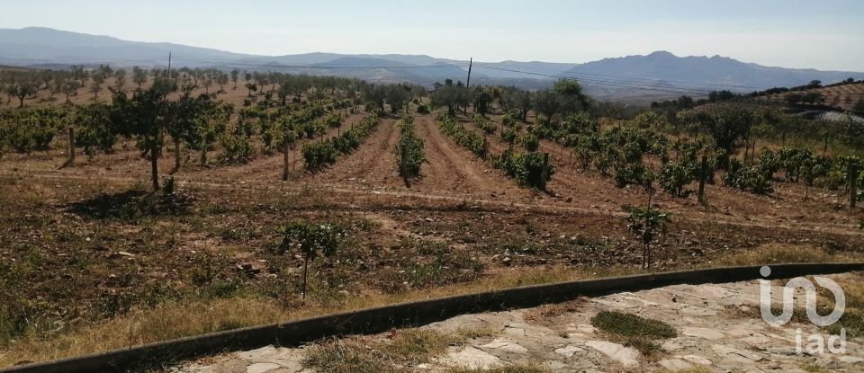 Farm T4 in Lamas de Orelhão of 350 m²