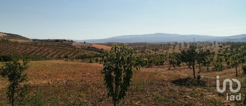 Farm T4 in Lamas de Orelhão of 350 m²