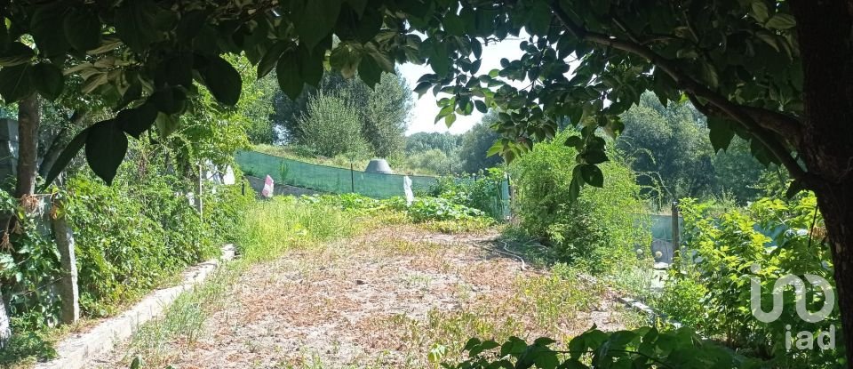 Land in Campo of 4,500 m²
