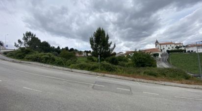 Terreno em Lobrigos (São Miguel e São João Baptista) e Sanhoane de 570 m²