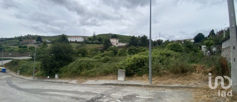 Terreno em Lobrigos (São Miguel e São João Baptista) e Sanhoane de 699 m²