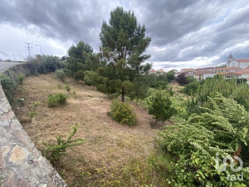 Terreno em Lobrigos (São Miguel e São João Baptista) e Sanhoane de 551 m²