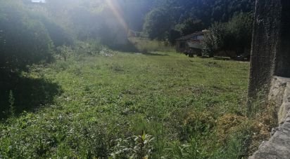 Terrain à Perre de 5 265 m²