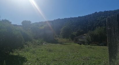 Terrain à Perre de 5 265 m²