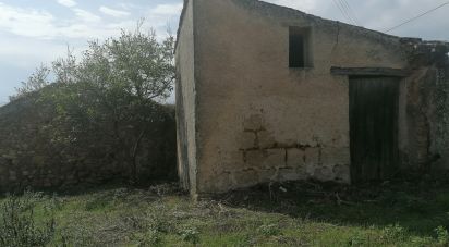 Maison de village T0 à Lamas de 125 m²