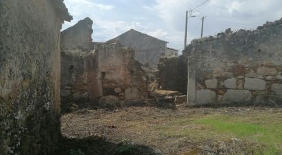 Maison de village T0 à Lamas de 125 m²