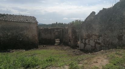 Maison de village T0 à Lamas de 125 m²