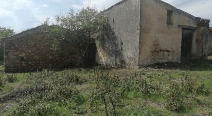 Maison de village T0 à Lamas de 125 m²