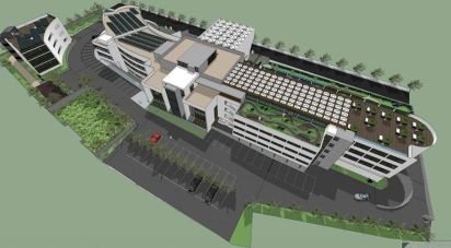 Terrain à São Brás de Alportel de 8 779 m²