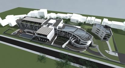 Terrain à São Brás de Alportel de 8 779 m²