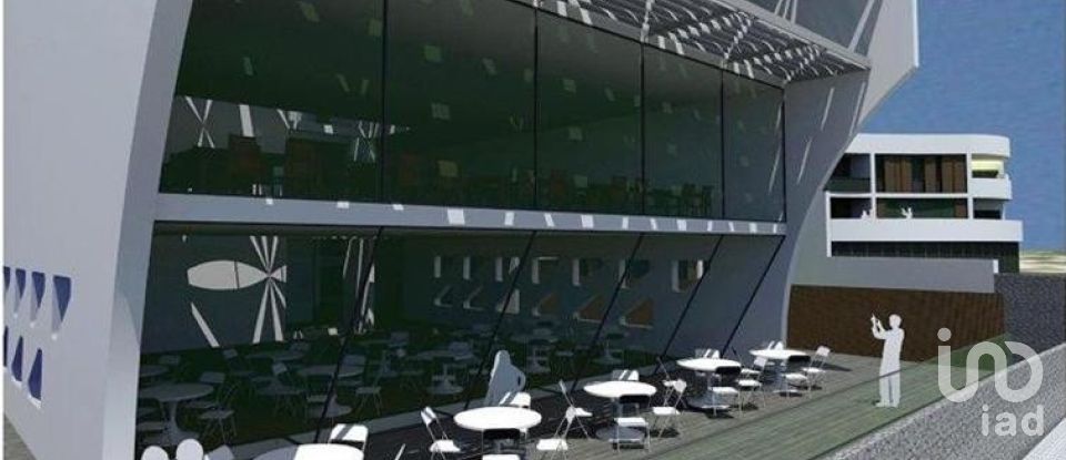 Terrain à São Brás de Alportel de 8 779 m²