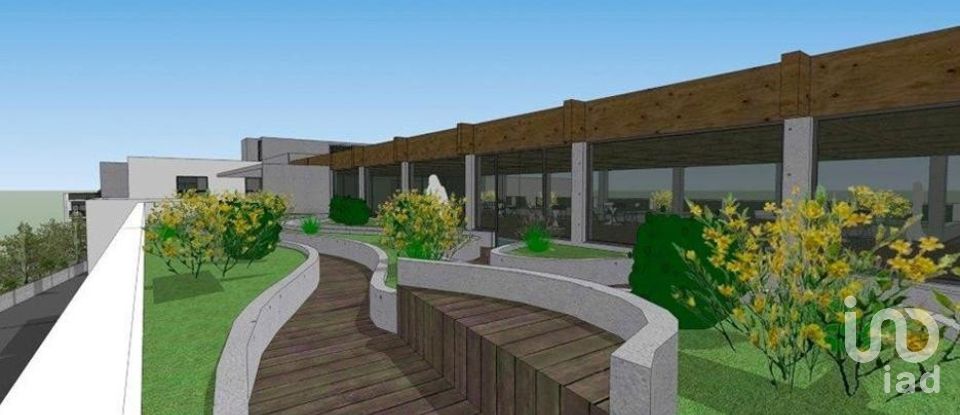 Terrain à São Brás de Alportel de 8 779 m²