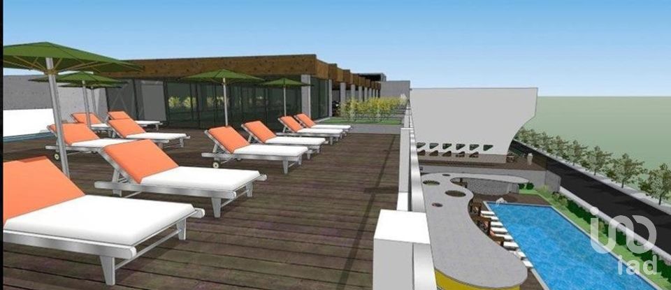 Terrain à São Brás de Alportel de 8 779 m²