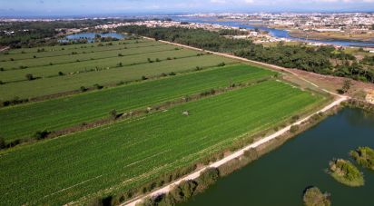 House T8 in Ílhavo (São Salvador) of 1,273,500 m²