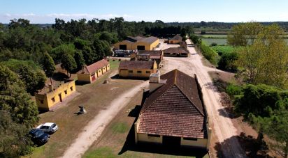 House T8 in Ílhavo (São Salvador) of 1,273,500 m²
