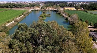 House T8 in Ílhavo (São Salvador) of 1,273,500 m²