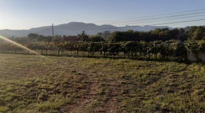 Building land in Ganfei of 1,480 m²