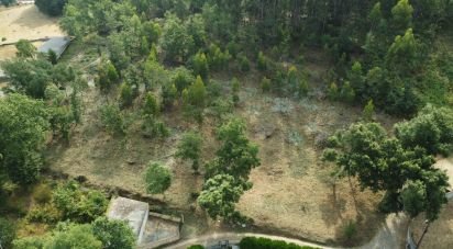 Terrain à bâtir à Vilar de Mouros de 6 030 m²