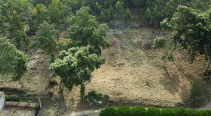 Terrain à bâtir à Vilar de Mouros de 6 030 m²