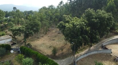 Terrain à bâtir à Vilar de Mouros de 6 030 m²