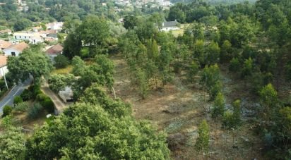 Terrain à bâtir à Vilar de Mouros de 6 030 m²