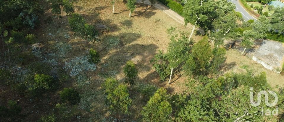 Terrain à bâtir à Vilar de Mouros de 6 030 m²