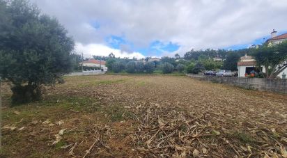 Terreno em Nogueira, Meixedo e Vilar de Murteda de 2 000 m²