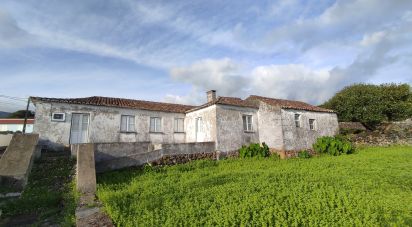 Maison T2 à São Bartolomeu de Regatos de 165 m²