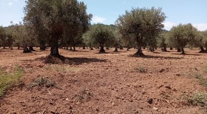 Terrain agricole à Grândola e Santa Margarida da Serra de 2 750 m²