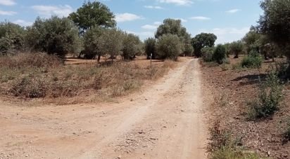 Terrain agricole à Grândola e Santa Margarida da Serra de 2 750 m²