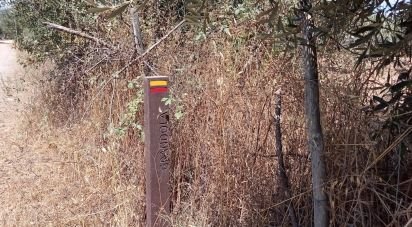 Terrain agricole à Grândola e Santa Margarida da Serra de 2 750 m²