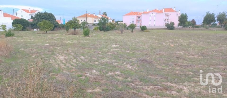 Building land in Samora Correia of 10,063 m²