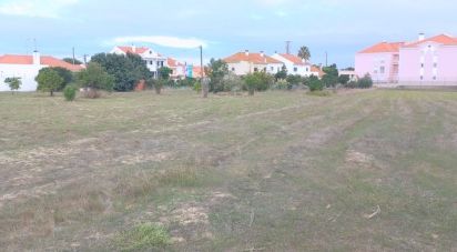 Building land in Samora Correia of 10,063 m²