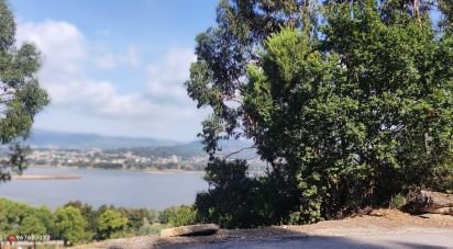 Terrain à Seixas de 778 m²