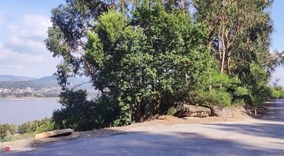Terrain à Seixas de 778 m²