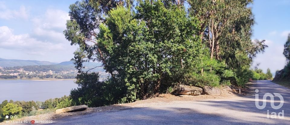 Terreno em Seixas de 778 m²