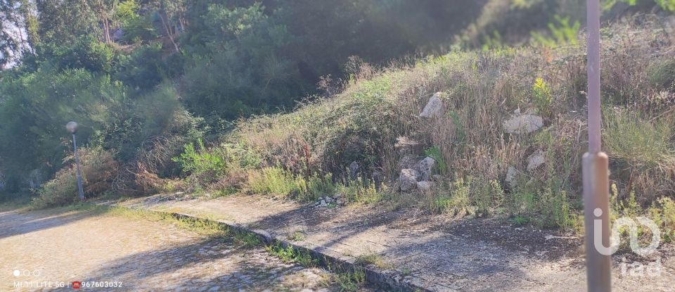 Terreno em Seixas de 778 m²