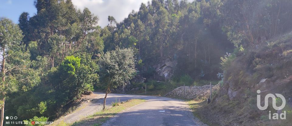 Terreno em Seixas de 778 m²