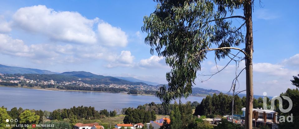 Terreno em Seixas de 778 m²