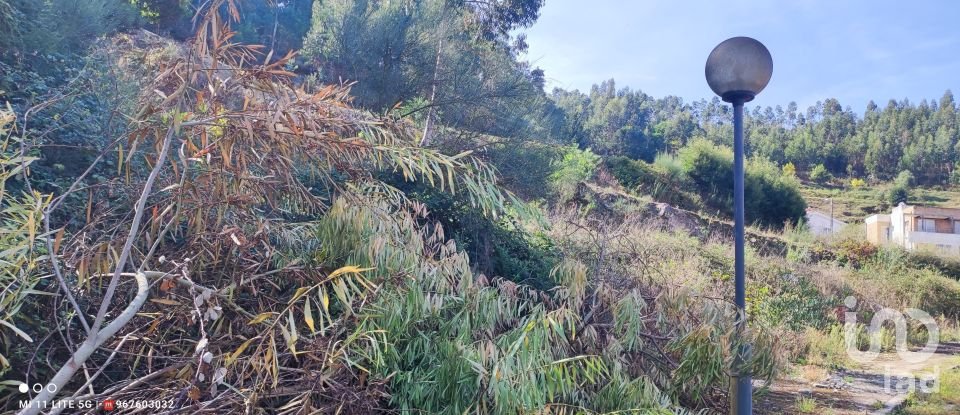 Terreno em Seixas de 778 m²