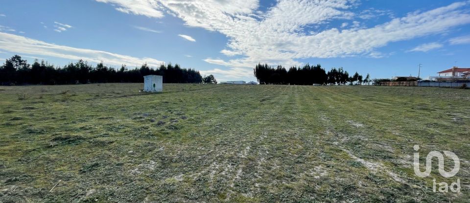 House T3 in Silveira of 250 m²