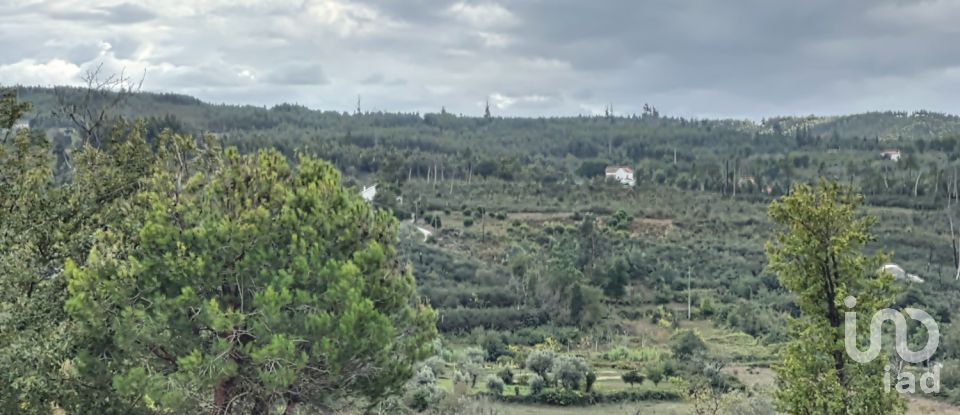 Land in Tábua of 10,950 m²