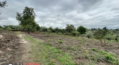 Land in Tábua of 10,950 m²