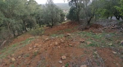 Terrain à Alcobertas de 3 280 m²