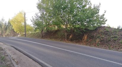 Terrain à Alcobertas de 3 280 m²